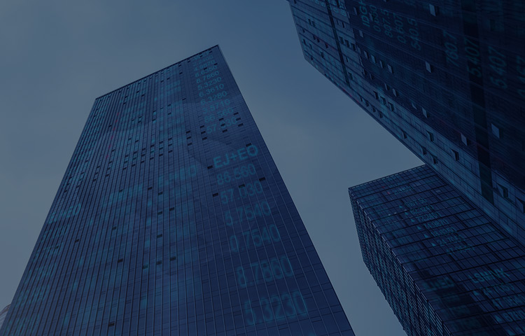 集團(tuán)資金管理系統(tǒng)解決方案